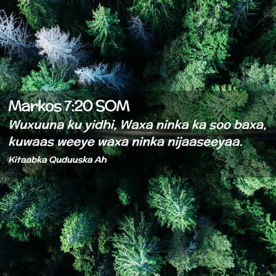 Picture 02 - Markos 7:20 SOM - Wuxuuna ku yidhi, Waxa ninka ka soo baxa, kuwaas - Bible Verse Picture