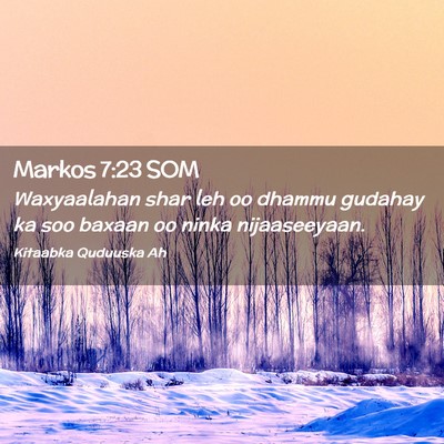 Picture 02 - Markos 7:23 SOM - Waxyaalahan shar leh oo dhammu gudahay ka soo - Bible Verse Picture
