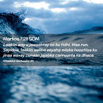 Picture 02 - Markos 7:28 SOM - Laakiin way u jawaabtay oo ku tidhi, Waa run, - Bible Verse Picture