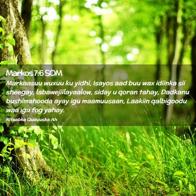Picture 02 - Markos 7:6 SOM - Markaasuu wuxuu ku yidhi, Isayos aad buu wax - Bible Verse Picture