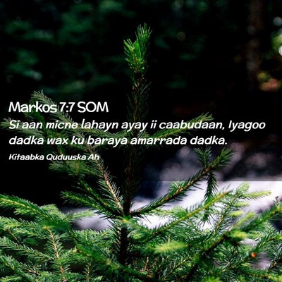 Picture 02 - Markos 7:7 SOM - Si aan micne lahayn ayay ii caabudaan, Iyagoo - Bible Verse Picture