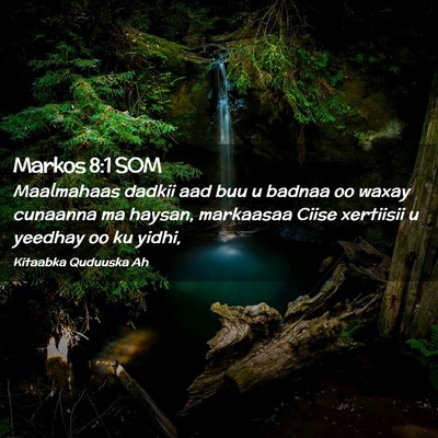 Picture 02 - Markos 8:1 SOM - Maalmahaas dadkii aad buu u badnaa oo waxay - Bible Verse Picture