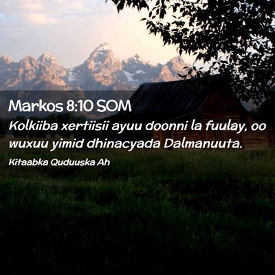 Picture 02 - Markos 8:10 SOM - Kolkiiba xertiisii ayuu doonni la fuulay, oo - Bible Verse Picture