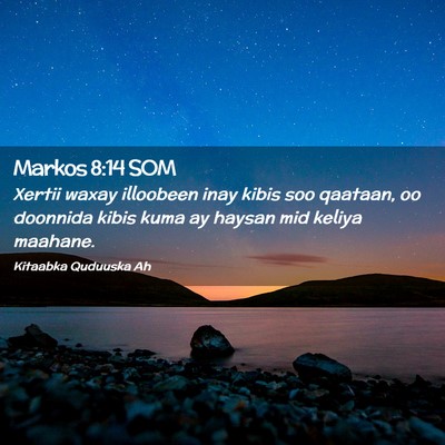 Picture 02 - Markos 8:14 SOM - Xertii waxay illoobeen inay kibis soo qaataan, oo - Bible Verse Picture