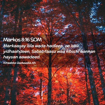 Picture 02 - Markos 8:16 SOM - Markaasay isla wada hadleen, oo isku yidhaahdeen, - Bible Verse Picture