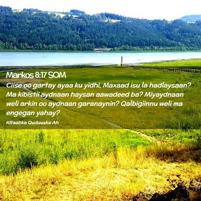 Picture 02 - Markos 8:17 SOM - Ciise oo gartay ayaa ku yidhi, Maxaad isu la - Bible Verse Picture