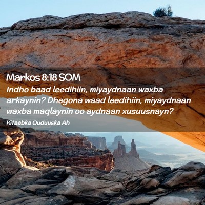 Picture 02 - Markos 8:18 SOM - Indho baad leedihiin, miyaydnaan waxba arkaynin? - Bible Verse Picture
