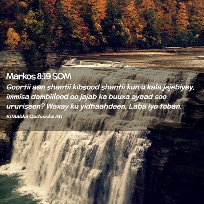 Picture 02 - Markos 8:19 SOM - Goortii aan shantii kibsood shantii kun u kala - Bible Verse Picture