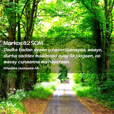 Picture 02 - Markos 8:2 SOM - Dadka badan ayaan u naxariisanayaa, waayo, durba - Bible Verse Picture