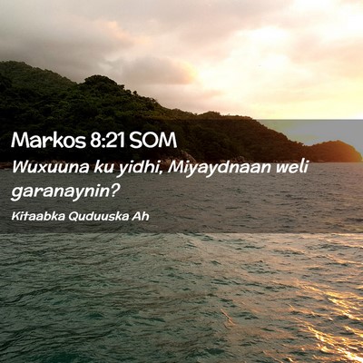 Picture 02 - Markos 8:21 SOM - Wuxuuna ku yidhi, Miyaydnaan weli - Bible Verse Picture