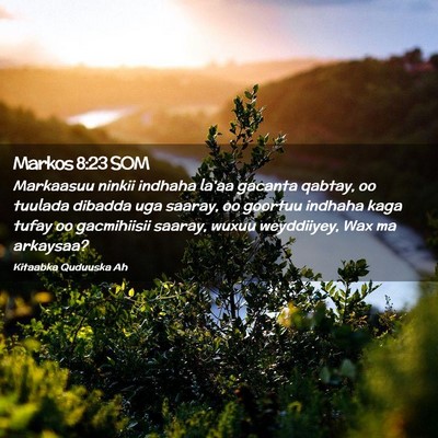 Picture 02 - Markos 8:23 SOM - Markaasuu ninkii indhaha la'aa gacanta qabtay, oo - Bible Verse Picture
