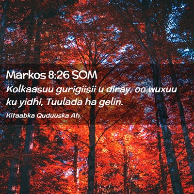 Picture 02 - Markos 8:26 SOM - Kolkaasuu gurigiisii u diray, oo wuxuu ku yidhi, - Bible Verse Picture