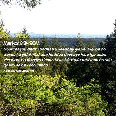 Picture 02 - Markos 8:34 SOM - Goortaasuu dadkii badnaa u yeedhay iyo - Bible Verse Picture