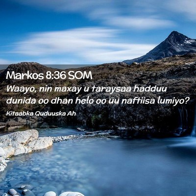 Picture 02 - Markos 8:36 SOM - Waayo, nin maxay u taraysaa hadduu dunida oo dhan - Bible Verse Picture