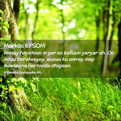 Picture 02 - Markos 8:7 SOM - Waxay haysteen in yar oo kalluun yaryar ah. Oo - Bible Verse Picture
