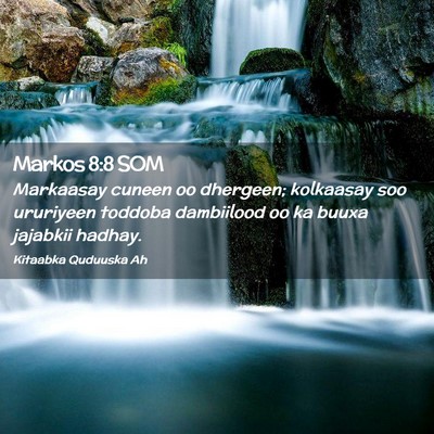 Picture 02 - Markos 8:8 SOM - Markaasay cuneen oo dhergeen; kolkaasay soo - Bible Verse Picture