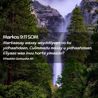 Picture 02 - Markos 9:11 SOM - Markaasay waxay weyddiiyeen oo ku yidhaahdeen, - Bible Verse Picture