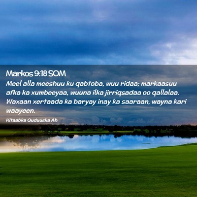 Picture 02 - Markos 9:18 SOM - Meel alla meeshuu ku qabtoba, wuu ridaa; - Bible Verse Picture