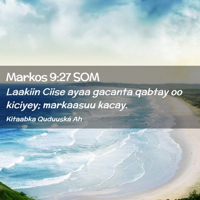 Picture 02 - Markos 9:27 SOM - Laakiin Ciise ayaa gacanta qabtay oo kiciyey; - Bible Verse Picture