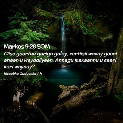 Picture 02 - Markos 9:28 SOM - Ciise goortuu guriga galay, xertiisii waxay gooni - Bible Verse Picture