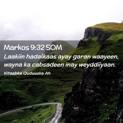 Picture 02 - Markos 9:32 SOM - Laakiin hadalkaas ayay garan waayeen, wayna ka - Bible Verse Picture
