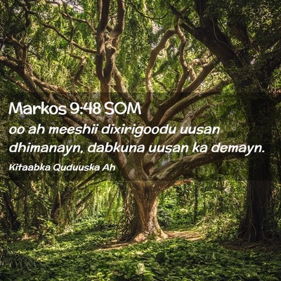 Picture 02 - Markos 9:48 SOM - oo ah meeshii dixirigoodu uusan dhimanayn, - Bible Verse Picture