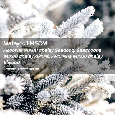 Picture 02 - Matayos 1:14 SOM - Asoorna wuxuu dhalay Saadooq, Saadooqna wuxuu - Bible Verse Picture