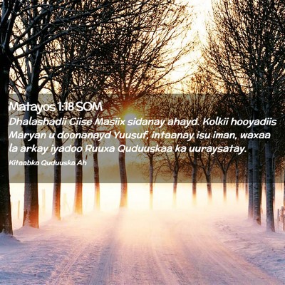 Picture 02 - Matayos 1:18 SOM - Dhalashadii Ciise Masiix sidanay ahayd. Kolkii - Bible Verse Picture