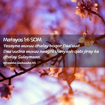 Picture 02 - Matayos 1:6 SOM - Yesayna wuxuu dhalay boqor Daa'uud. Daa'uudna - Bible Verse Picture
