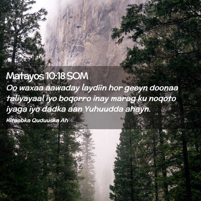 Picture 02 - Matayos 10:18 SOM - Oo waxaa aawaday laydiin hor geeyn doonaa - Bible Verse Picture