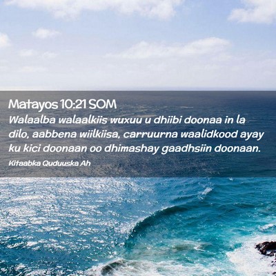 Picture 02 - Matayos 10:21 SOM - Walaalba walaalkiis wuxuu u dhiibi doonaa in la - Bible Verse Picture