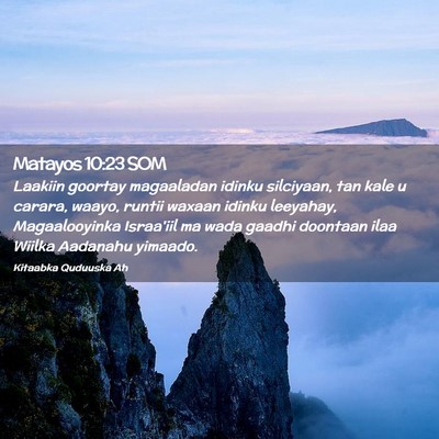 Picture 02 - Matayos 10:23 SOM - Laakiin goortay magaaladan idinku silciyaan, tan - Bible Verse Picture