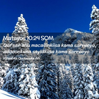 Picture 02 - Matayos 10:24 SOM - Qof xer ahu macallinkiisa kama sarreeyo, - Bible Verse Picture