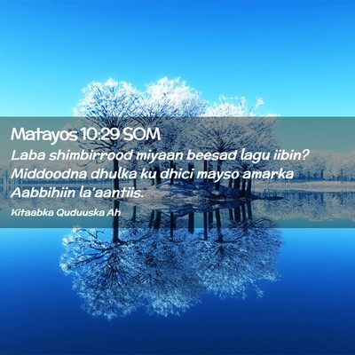Picture 02 - Matayos 10:29 SOM - Laba shimbirrood miyaan beesad lagu iibin? - Bible Verse Picture