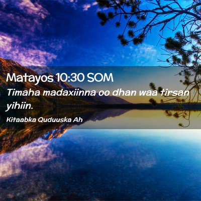 Picture 02 - Matayos 10:30 SOM - Timaha madaxiinna oo dhan waa tirsan - Bible Verse Picture