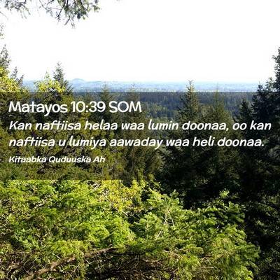 Picture 02 - Matayos 10:39 SOM - Kan naftiisa helaa waa lumin doonaa, oo kan - Bible Verse Picture