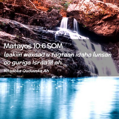 Picture 02 - Matayos 10:6 SOM - laakiin waxaad u tagtaan idaha lunsan oo guriga - Bible Verse Picture