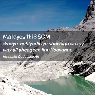 Picture 02 - Matayos 11:13 SOM - Waayo, nebiyadii iyo sharcigu waxay wax sii - Bible Verse Picture