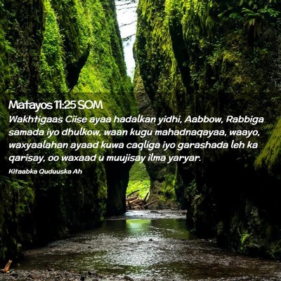 Picture 02 - Matayos 11:25 SOM - Wakhtigaas Ciise ayaa hadalkan yidhi, Aabbow, - Bible Verse Picture
