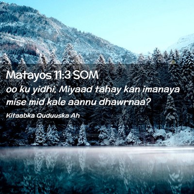 Picture 02 - Matayos 11:3 SOM - oo ku yidhi, Miyaad tahay kan imanaya mise mid - Bible Verse Picture