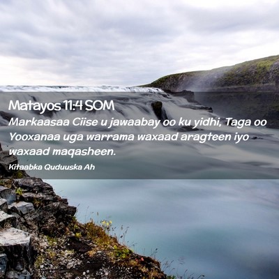 Picture 02 - Matayos 11:4 SOM - Markaasaa Ciise u jawaabay oo ku yidhi, Taga oo - Bible Verse Picture