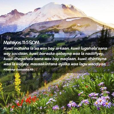 Picture 02 - Matayos 11:5 SOM - Kuwii indhaha la'aa wax bay arkaan, kuwii - Bible Verse Picture
