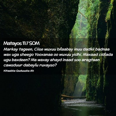 Picture 02 - Matayos 11:7 SOM - Markay tageen, Ciise wuxuu bilaabay inuu dadkii - Bible Verse Picture