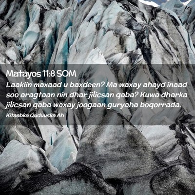 Picture 02 - Matayos 11:8 SOM - Laakiin maxaad u baxdeen? Ma waxay ahayd inaad - Bible Verse Picture