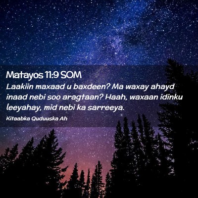 Picture 02 - Matayos 11:9 SOM - Laakiin maxaad u baxdeen? Ma waxay ahayd inaad - Bible Verse Picture