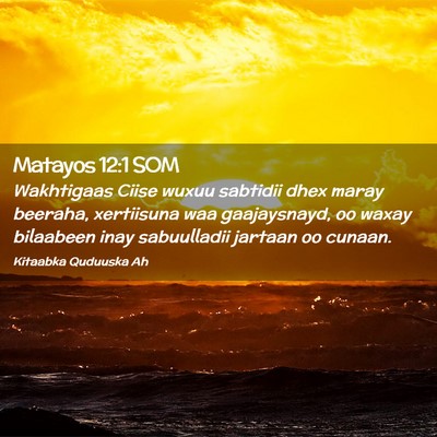 Picture 02 - Matayos 12:1 SOM - Wakhtigaas Ciise wuxuu sabtidii dhex maray - Bible Verse Picture