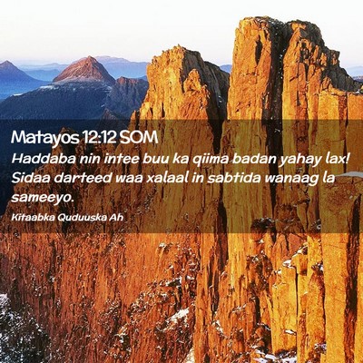 Picture 02 - Matayos 12:12 SOM - Haddaba nin intee buu ka qiima badan yahay lax! - Bible Verse Picture