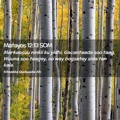 Picture 02 - Matayos 12:13 SOM - Markaasuu ninkii ku yidhi, Gacantaada soo taag. - Bible Verse Picture