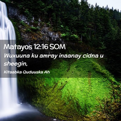 Picture 02 - Matayos 12:16 SOM - Wuxuuna ku amray inaanay cidna u - Bible Verse Picture