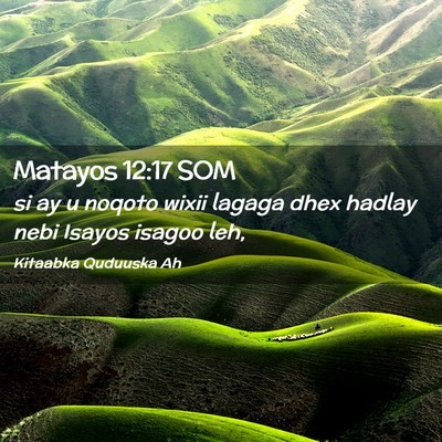 Picture 02 - Matayos 12:17 SOM - si ay u noqoto wixii lagaga dhex hadlay nebi - Bible Verse Picture
